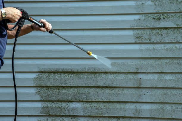 Best Gutter Cleaning  in Deming, NM